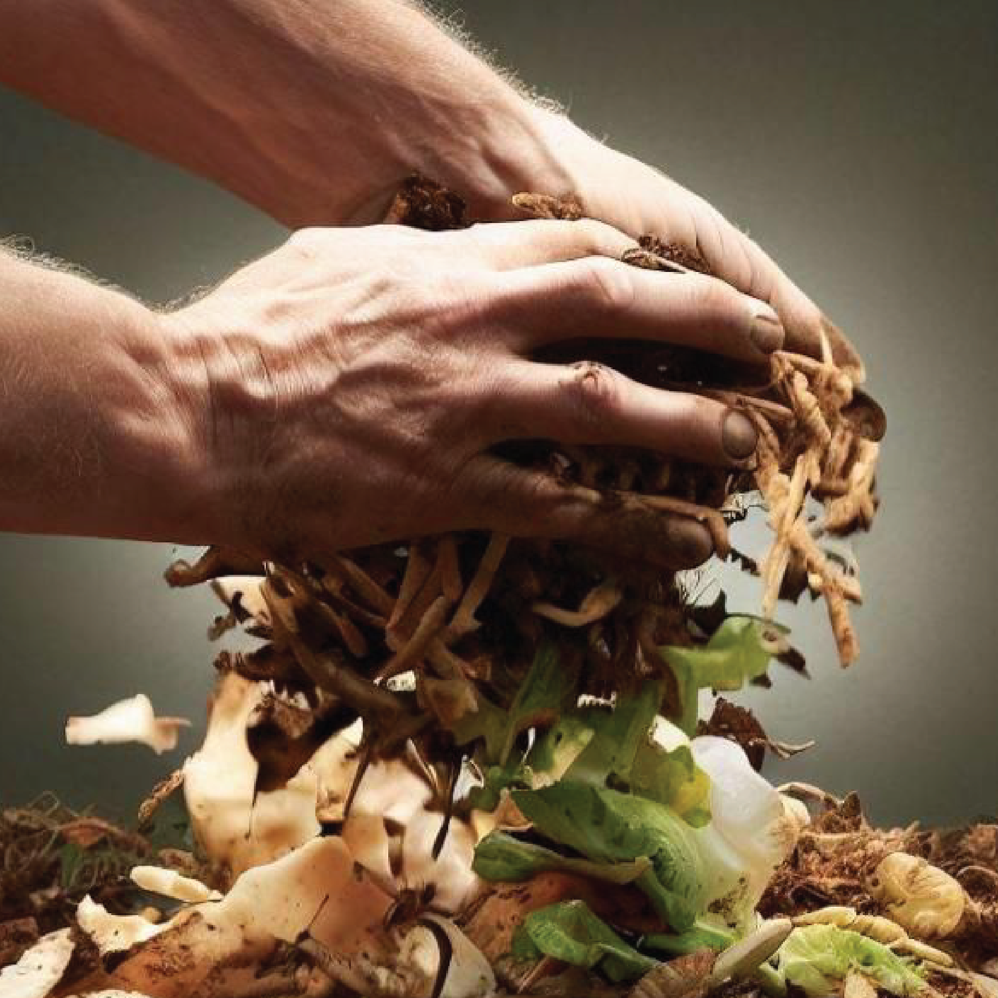 Waste Processing Solutions